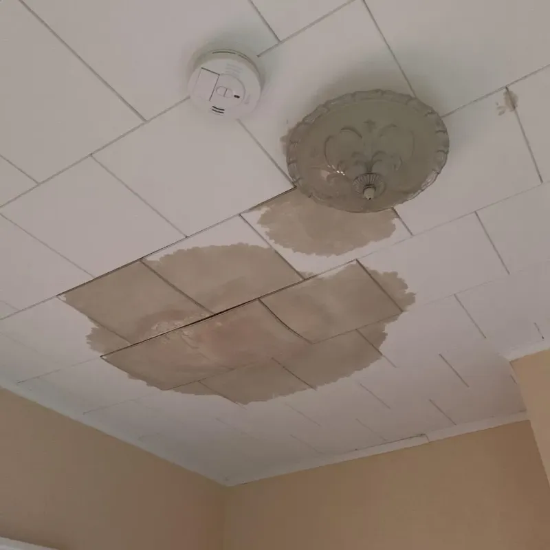 Ceiling Water Damage Repair in Springfield, MA