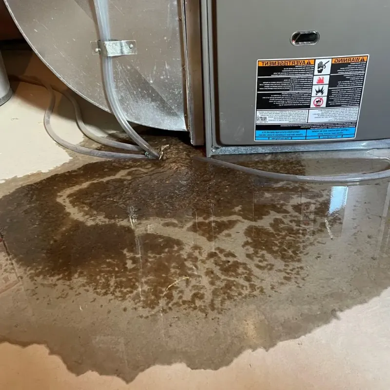 Pipe Burst and Leak Restoration in Springfield, MA